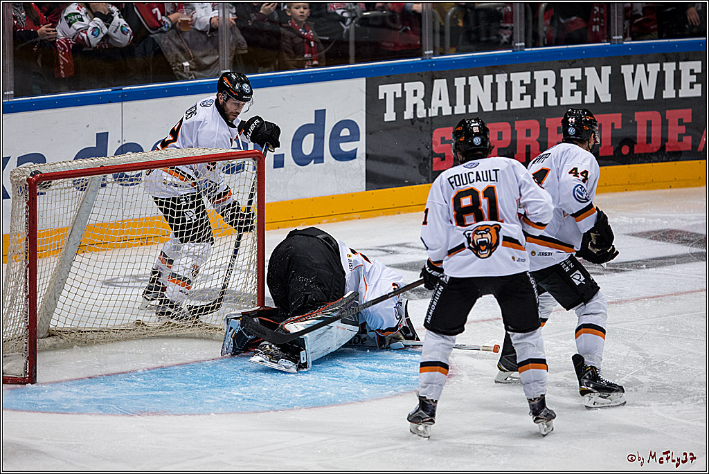 Koelner Haie - Grizzlys Wolfsburg, 16.10.2016, 16.10.2016